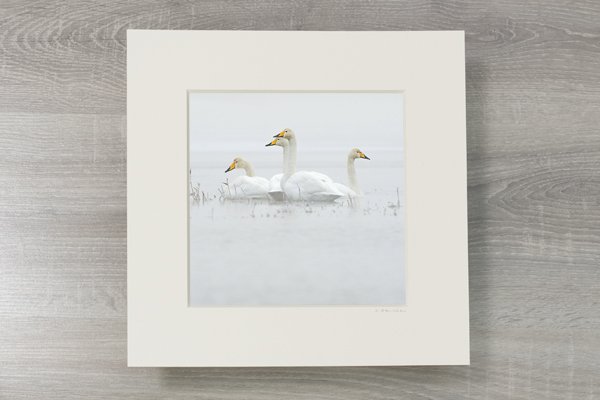 Passepartouts 30x30