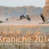 Kraniche 2014