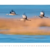 Kraniche 2014 – Bild 6
