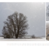 naturbilder 2016 - Impressionen aus der Elbtalaue – Bild 3