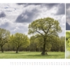 naturbilder 2016 - Impressionen aus der Elbtalaue – Bild 6