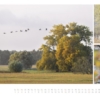 naturbilder 2016 - Impressionen aus der Elbtalaue – Bild 12