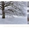 naturbilder 2016 - Impressionen aus der Elbtalaue – Bild 14