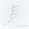 naturweiss 2014