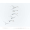 naturweiss 2014 – Bild 5