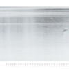 naturweiss 2014 – Bild 7