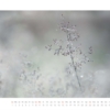 naturweiss 2014 – Bild 8