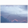 Über den Wolken – Bild 2