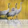 Kraniche 2018 – Bild 2