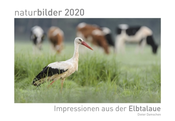 naturbilder 2020 - Impressionen aus der Elbtalaue – Bild 2