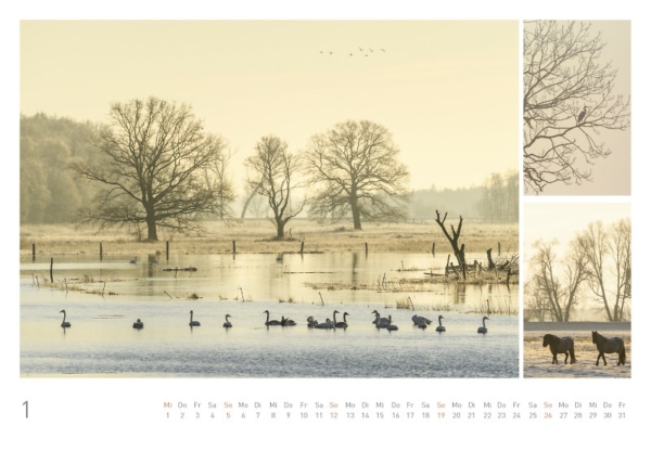 naturbilder 2020 - Impressionen aus der Elbtalaue – Bild 3