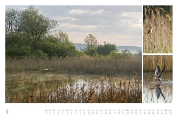 naturbilder 2020 - Impressionen aus der Elbtalaue – Bild 6