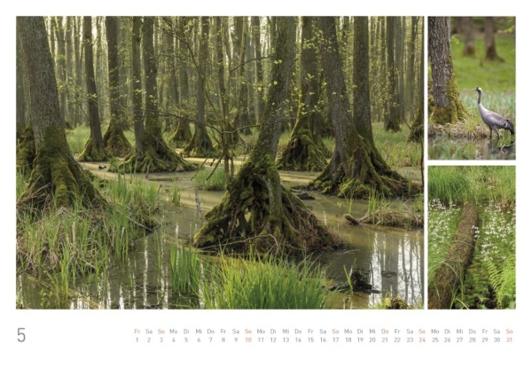 naturbilder 2020 - Impressionen aus der Elbtalaue – Bild 7