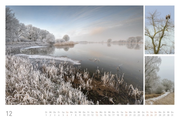 naturbilder 2020 - Impressionen aus der Elbtalaue – Bild 14