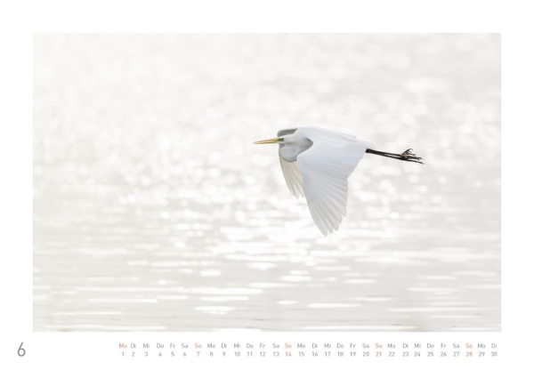 naturweiss 2020 – Bild 8