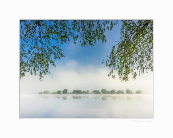 Morgenstimmung an der Elbe – Bild 2