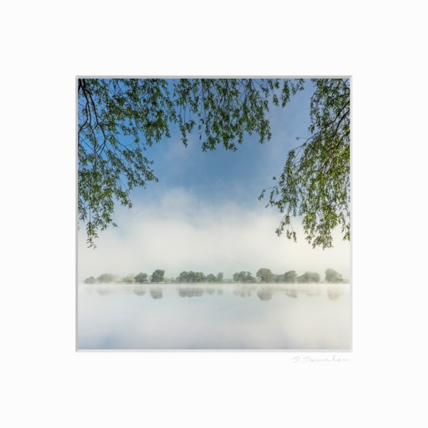 Morgenstimmung an der Elbe – Bild 2