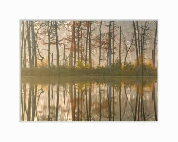Herbst am Seeufer – Bild 2