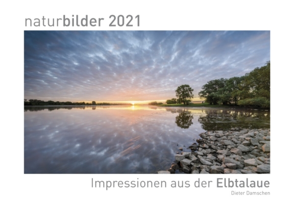naturbilder 2021 - Impressionen aus der Elbtalaue – Bild 2