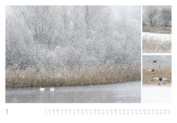 naturbilder 2021 - Impressionen aus der Elbtalaue – Bild 3