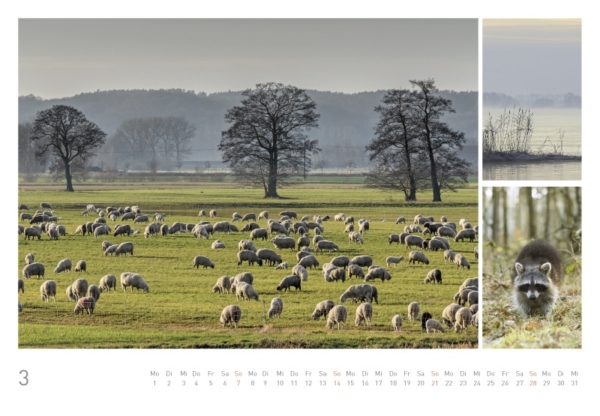 naturbilder 2021 - Impressionen aus der Elbtalaue – Bild 5