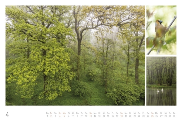 naturbilder 2021 - Impressionen aus der Elbtalaue – Bild 6