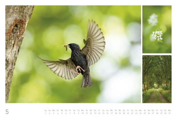 naturbilder 2021 - Impressionen aus der Elbtalaue – Bild 7