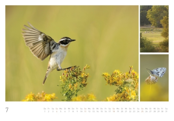 naturbilder 2021 - Impressionen aus der Elbtalaue – Bild 9
