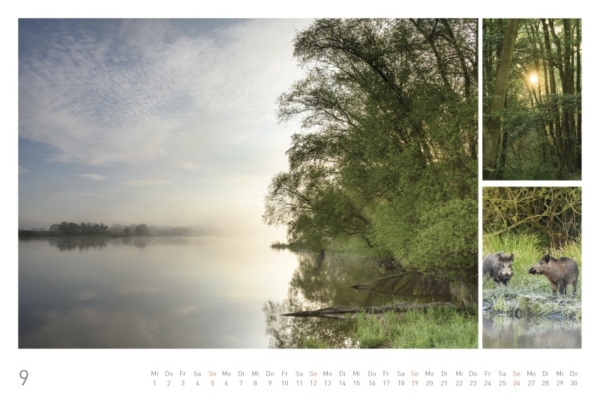 naturbilder 2021 - Impressionen aus der Elbtalaue – Bild 11