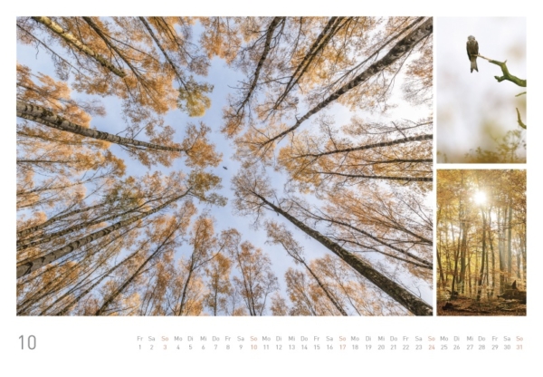 naturbilder 2021 - Impressionen aus der Elbtalaue – Bild 12