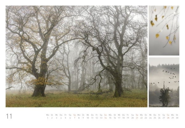 naturbilder 2021 - Impressionen aus der Elbtalaue – Bild 13