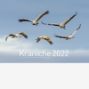 Kraniche 2022 - DIN A2