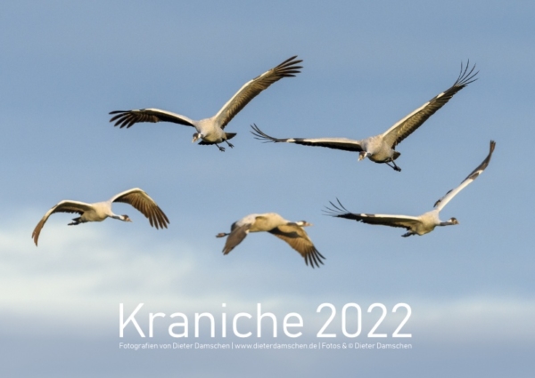 Kraniche 2022 - DIN A3 – Bild 2