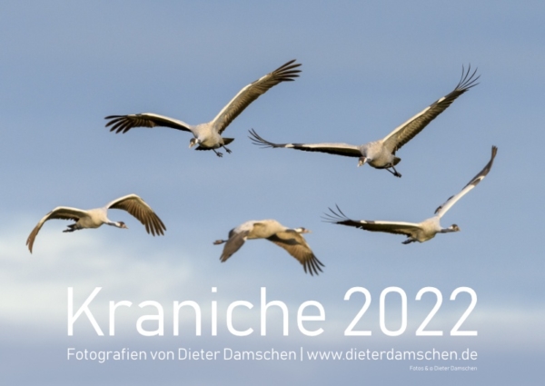 Kraniche 2022 DIN A4 – Bild 2