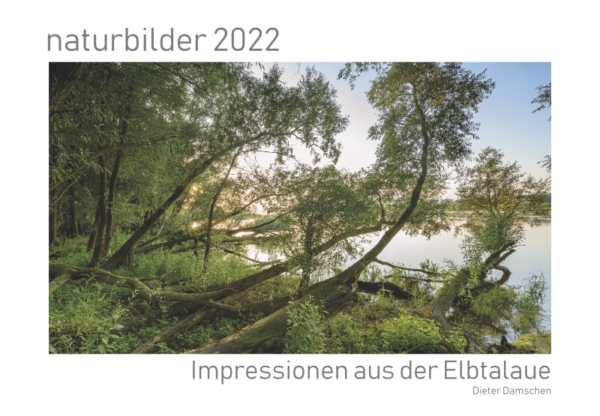 naturbilder 2022 - Impressionen aus der Elbtalaue – Bild 2