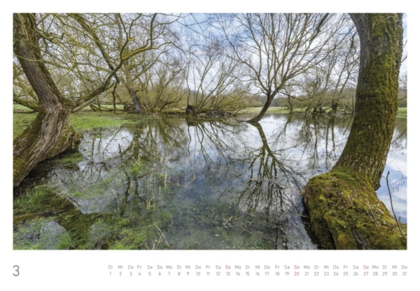 naturbilder 2022 - Impressionen aus der Elbtalaue – Bild 8
