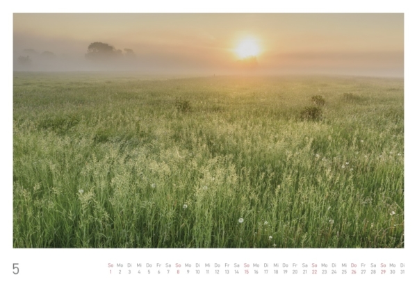 naturbilder 2022 - Impressionen aus der Elbtalaue – Bild 12