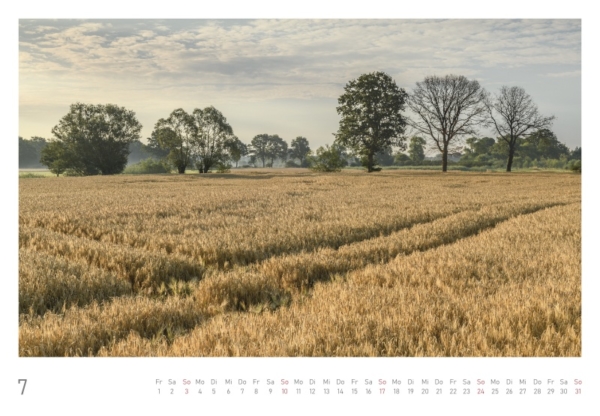 naturbilder 2022 - Impressionen aus der Elbtalaue – Bild 16