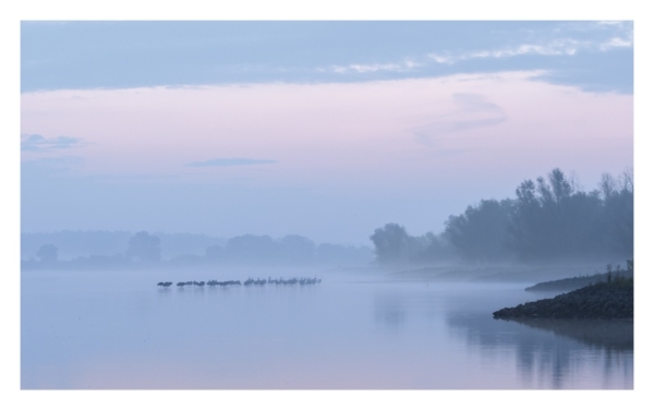 naturbilder 2022 - Impressionen aus der Elbtalaue – Bild 19
