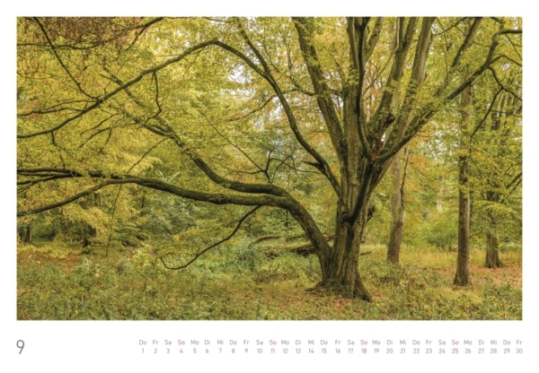 naturbilder 2022 - Impressionen aus der Elbtalaue – Bild 20
