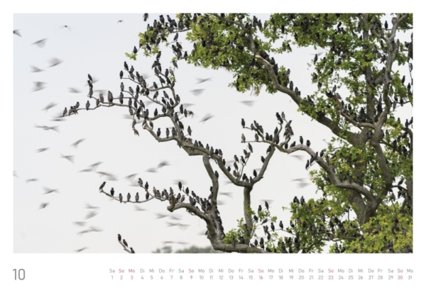 naturbilder 2022 - Impressionen aus der Elbtalaue – Bild 22