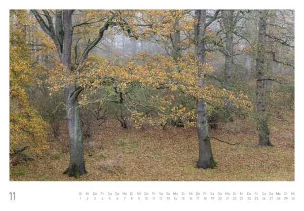 naturbilder 2022 - Impressionen aus der Elbtalaue – Bild 24