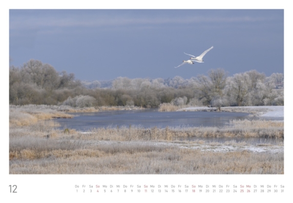 naturbilder 2022 - Impressionen aus der Elbtalaue – Bild 26