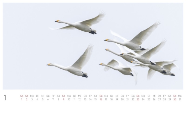naturbilder 2022 - Postkartenkalender – Bild 3