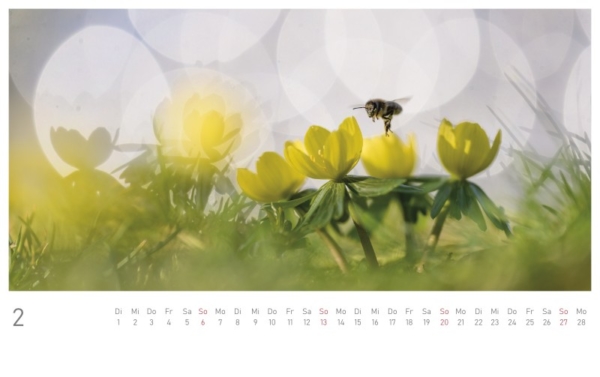naturbilder 2022 - Postkartenkalender – Bild 4