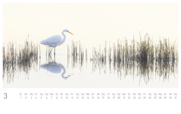 naturbilder 2022 - Postkartenkalender – Bild 5