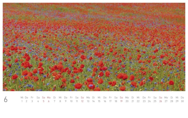 naturbilder 2022 - Postkartenkalender – Bild 8