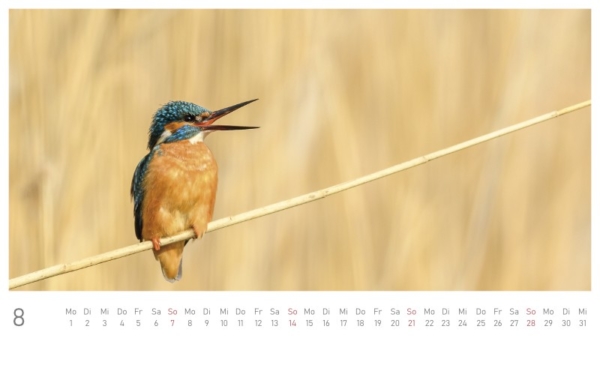 naturbilder 2022 - Postkartenkalender – Bild 10