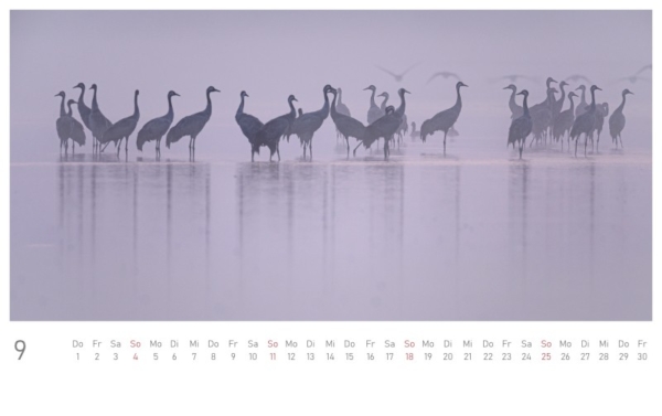 naturbilder 2022 - Postkartenkalender – Bild 11