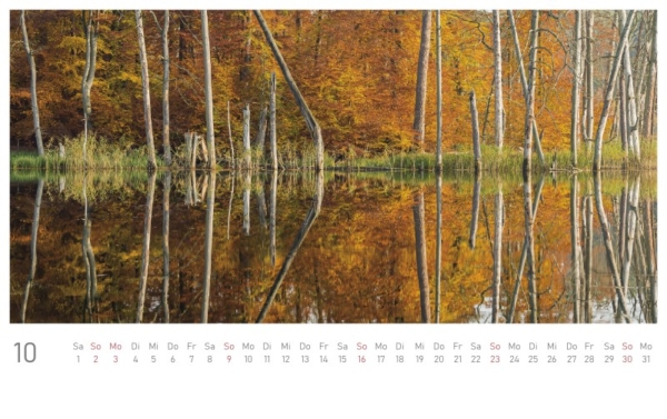 naturbilder 2022 - Postkartenkalender – Bild 12